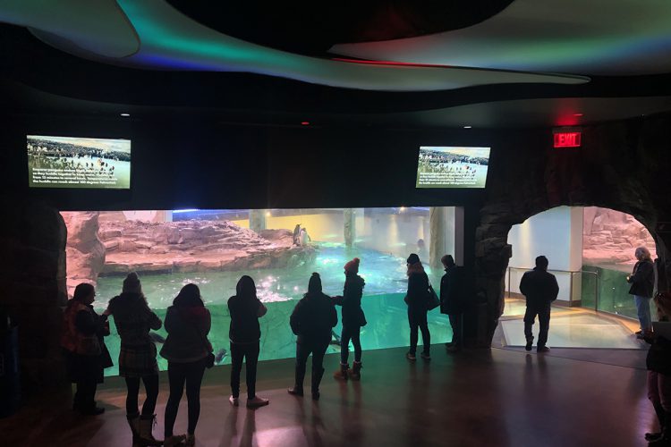 PENGUIN RESEARCH ホリエバトラーズ PENGUIN RESEARCH ホリエ